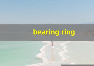 bearing ring